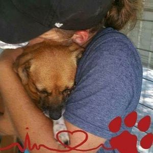 Meet your Posher, Misty